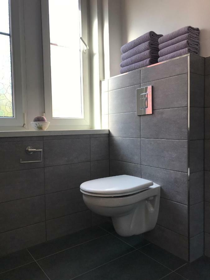 Apartman Havlickova Карлові Вари Екстер'єр фото